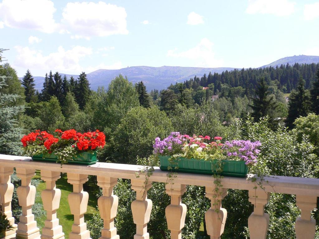Hotel Villa Romantica 스클라르스카포렘바 외부 사진