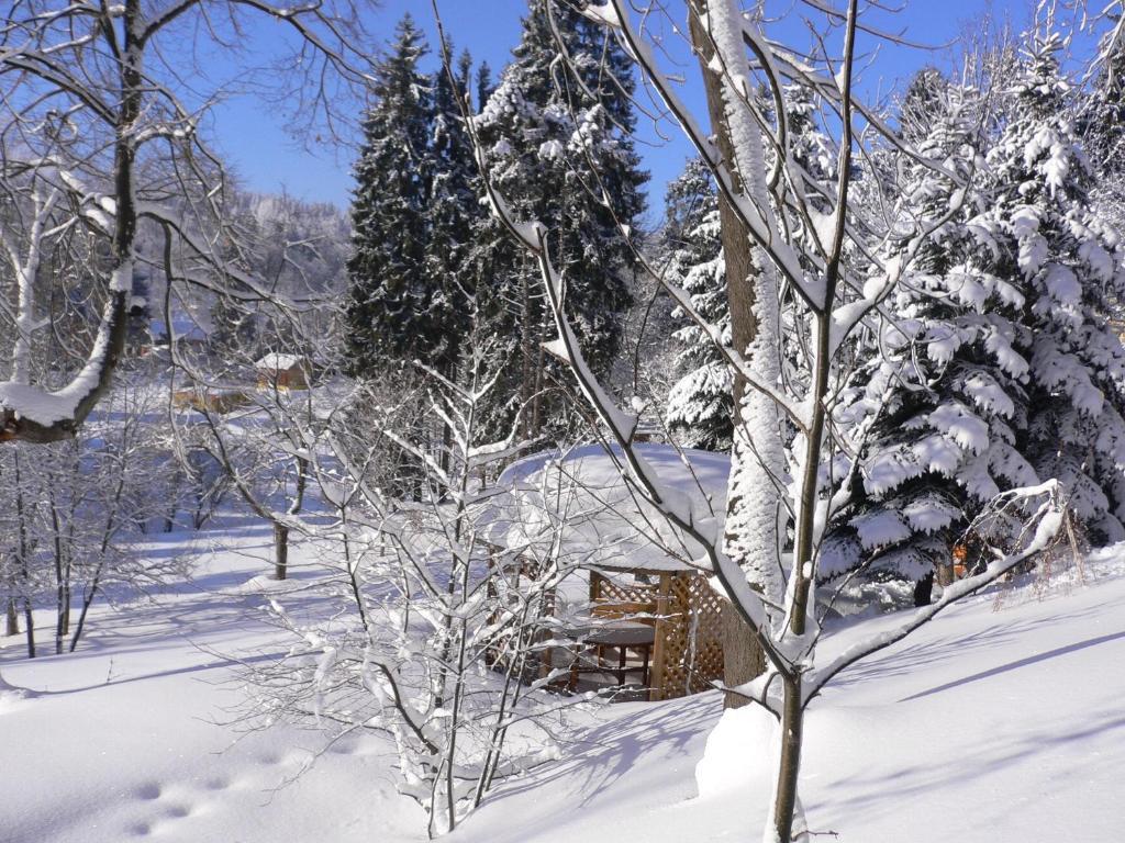 Hotel Villa Romantica 스클라르스카포렘바 외부 사진